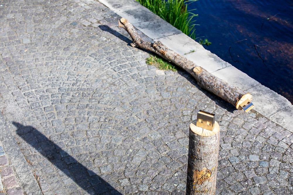 The picture is taken from above, at the front of the picture you can see a log that casts a shadow over a paving stone, in the background you can see a log lying on the stone paving