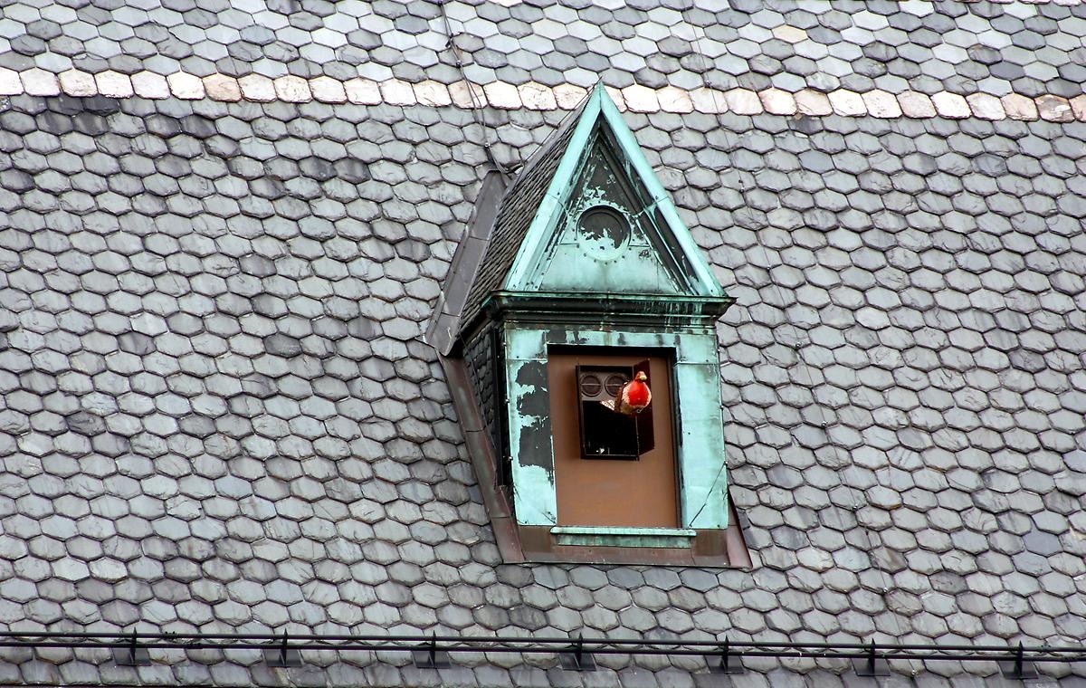 Ur ett litet torn som sticker upp ur taket är en gök klocka monterad.