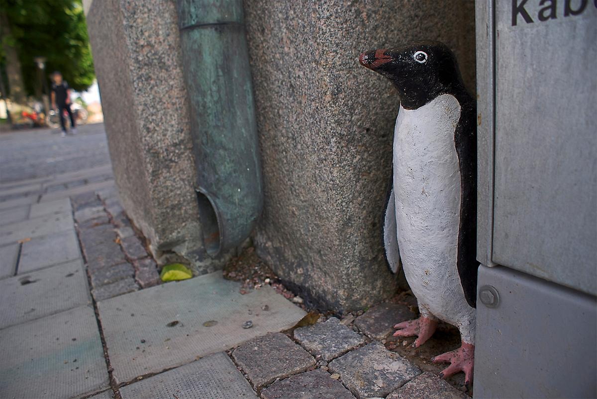 Utomhus i ett hörn emellan en grönsliten stupränna och ett elskåp står en verklighetstrogen pingvin och håller utkik. 