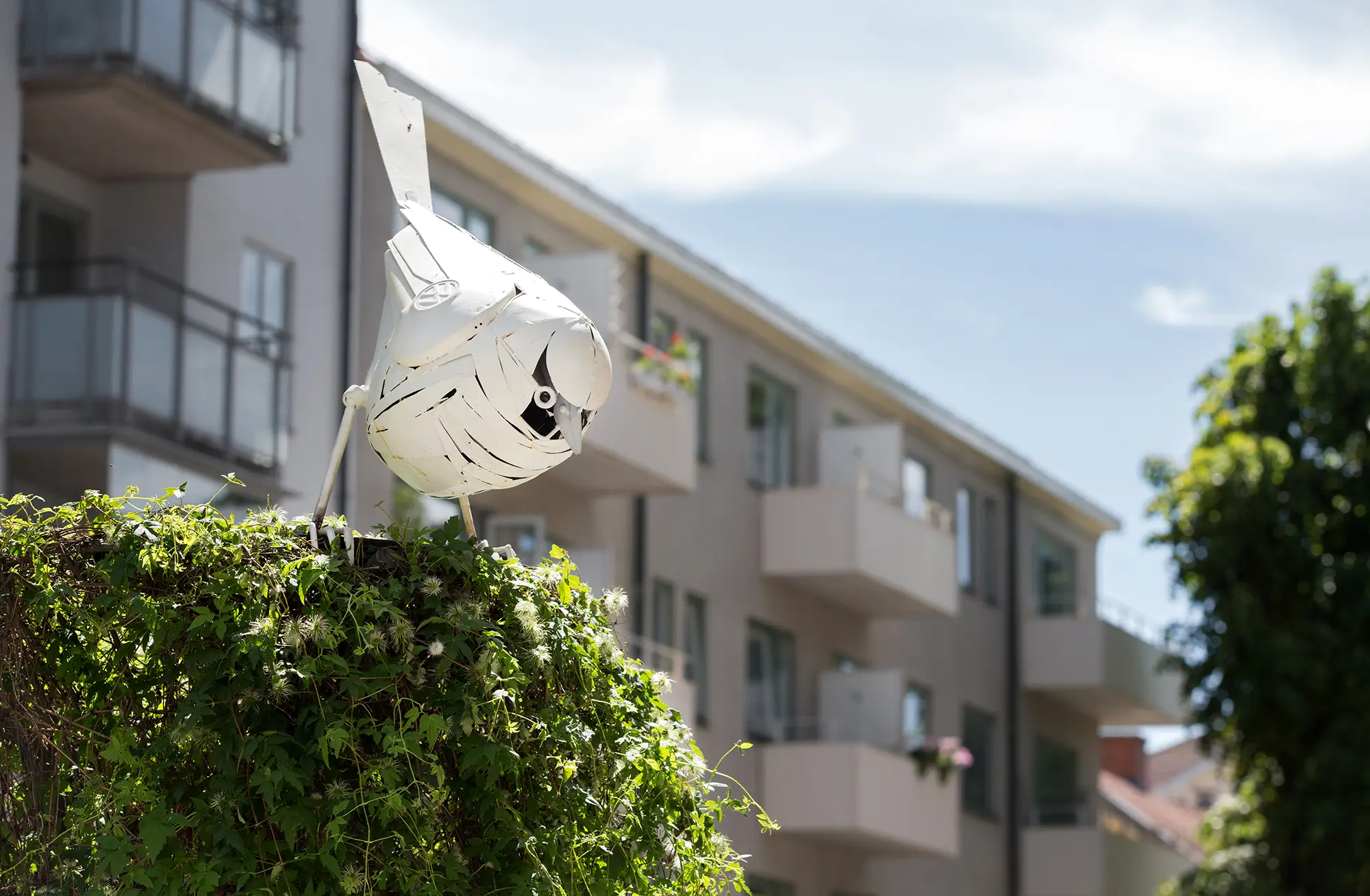 Uppe på en klätterväxt står en vit fågelskulptur i metall placerad. Den är uppbyggd av små böjda metallbitar som täcker skulpturens yta. Fågeln har blicken riktad neråt. I bakgrunden syns ett flervåningshus.