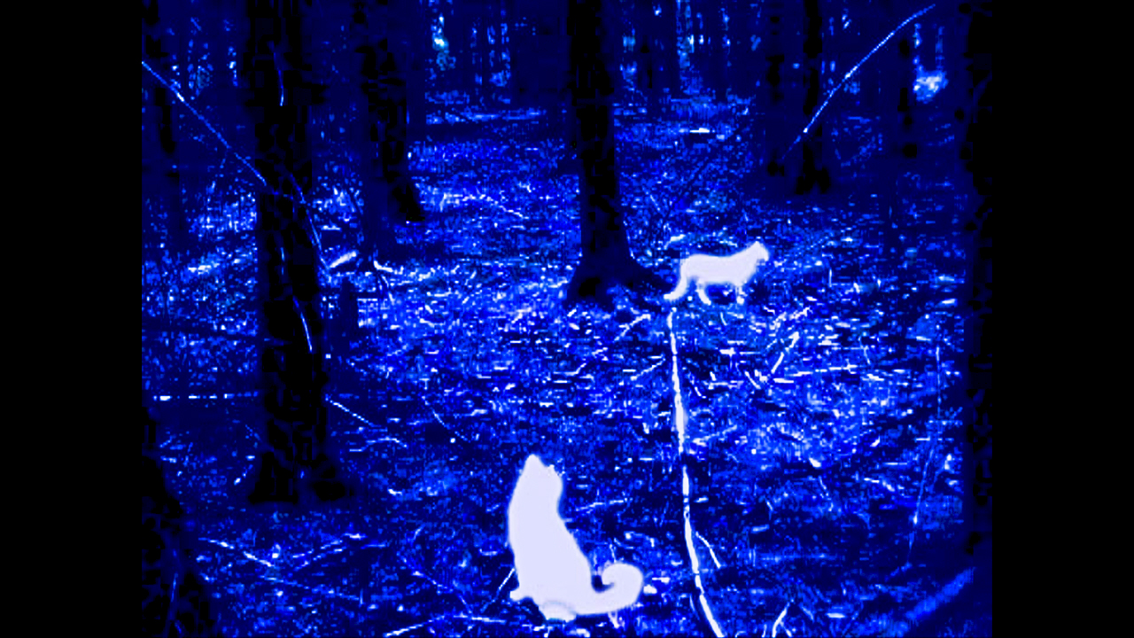 En blåaktig skog med vita djur. 