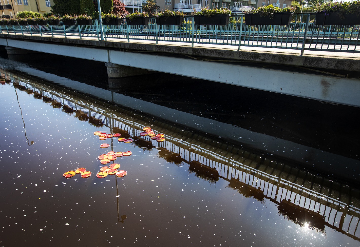 Water lilies made of warning signs float on the surface of the water next to a bridge.