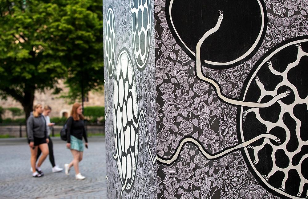 A close-up of the cube covered in a black and white pattern and illustrations of a figure and bacteria.
