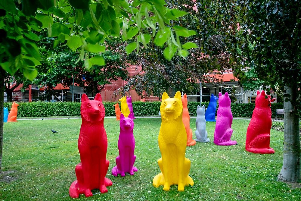 In the park and on the lawn there are wolves of various sizes and colors, orange, red, yellow, blue and purple.